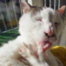 dolly1的个人资料头像