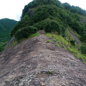 山峰入天白云飘1头像