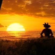 永恒的快乐在哪里的个人资料头像