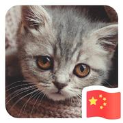 遇见207的个人资料头像