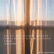 晚秋大魔王的个人资料头像