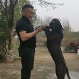 雄鹰SLY头像