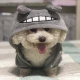 柚柚子灬头像
