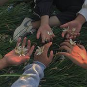 Powderblue的个人资料头像
