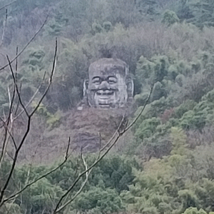 浙里启航头像