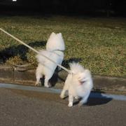 用户3097784435567的个人资料头像