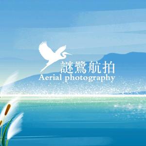 谜鹭头像