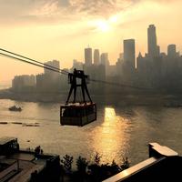 乖巧豆浆ke头像