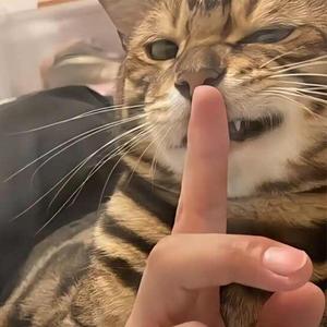 娱乐那点事头像