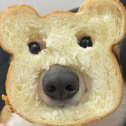 哥你喝过煮酒吗的个人资料头像