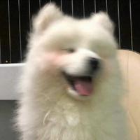 读书人小朱头像