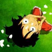 彡彡的个人资料头像