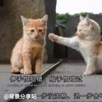 我的快乐已签收头像