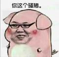 十个达不溜买条狗 · 哈弗大狗车主·车龄半年头像
