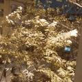 吹雪_隐空头像