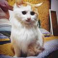 阳离子149869818头像