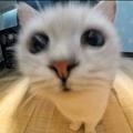 用户8399506504655头像