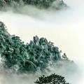 草根1308头像