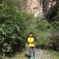 漫步与登山头像