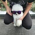 請訆我于少头像