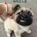 浪迹天崖110872216头像