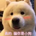 Cx664头像