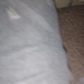 用户93179907521头像
