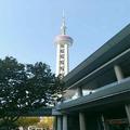 宁宁153331197头像