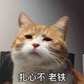但加索头像