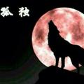 一定要低调2头像