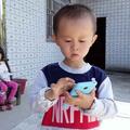 智勇双全孔雀Vk头像