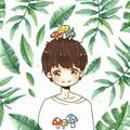 晨曦瑾年1头像
