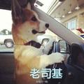 双手提鱼的双子头像