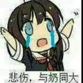 爱吃香蕉的阿狸欧巴丶头像