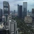 与爱同行161474589头像