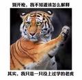 并踢了你一下旧歌162868364 · 哈弗H6车主·车龄6年头像