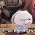忘了刚刚发生的事头像