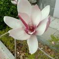 春暖花开158531168头像