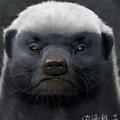 琉璃大炮头像