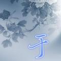 天山隔壁 · 凡尔赛C5 X车主·车龄1年头像