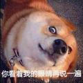 还是叫我石头吧头像