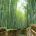 王兆川勇头像