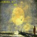 XP165578735头像