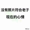 面朝西北等着风头像