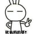 勇往直前的柑桔m9头像