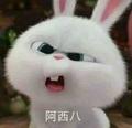 魔法湖泊NuA头像