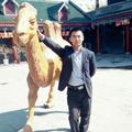 单眼皮44856779头像