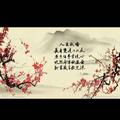 扯淡811208头像