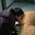 正直露珠Vm头像