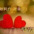 17512587005头像